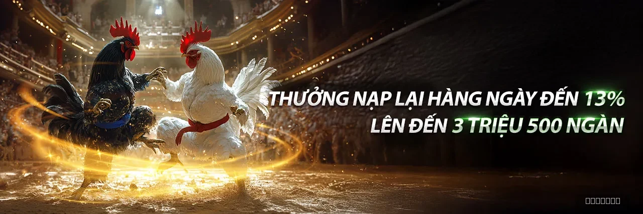 Đá Gà 789club - chuyên mục giải trí đá gà trực tuyến